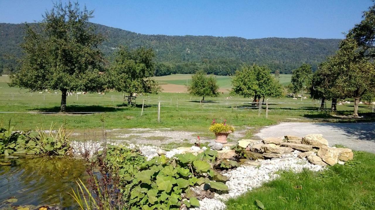 Apartement-Gîte rural à 3 km de Delémont Courcelon Exterior foto